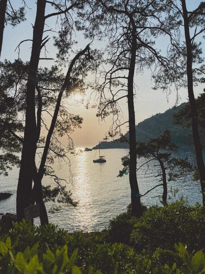 Kabak Uetopya Kamp Faralya Kültér fotó