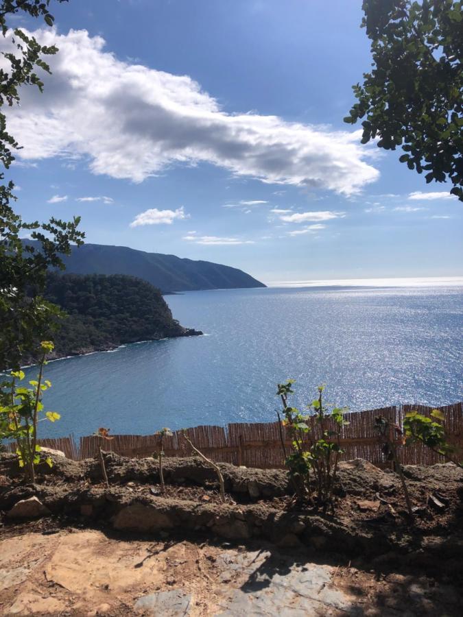 Kabak Uetopya Kamp Faralya Kültér fotó